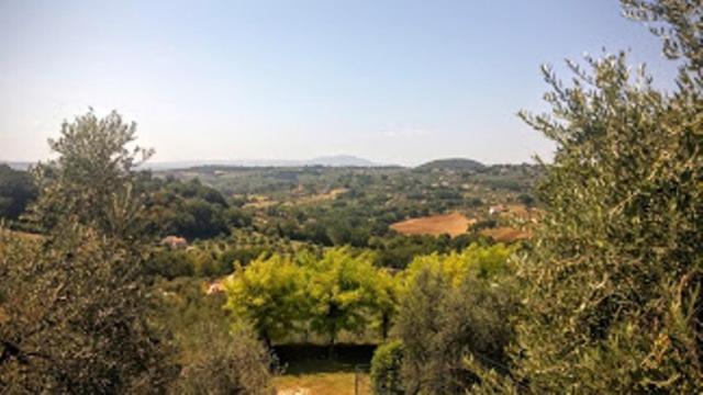 Agriturismo Marinella Amelia Exterior foto